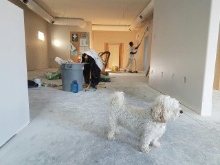 Best Premium Painting Services MBR City Dubai